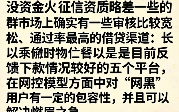 小额贷款好下的口子大全，整理五个网黑真正能下款的平台