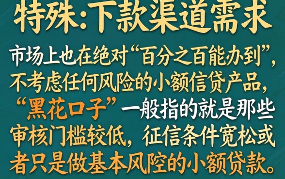 2026黑花口子入口，罗列五个无视黑白无视征信申请就下款的口子