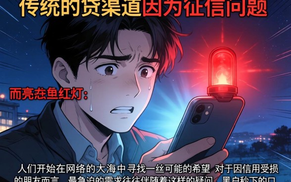 黑户秒下的口子有，概览五个手机身份证秒借现金的平台