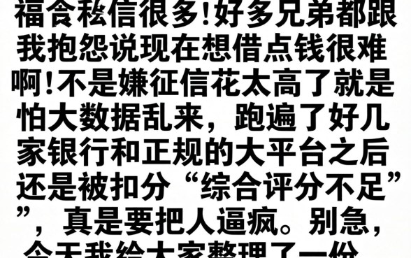 哪个贷款软件好下款的,深入剖析5个无视黑白百分百下款的借款软件