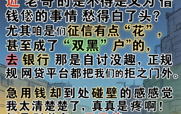 双黑可下款的口子，甄选5个征信花居然都下款了的软件