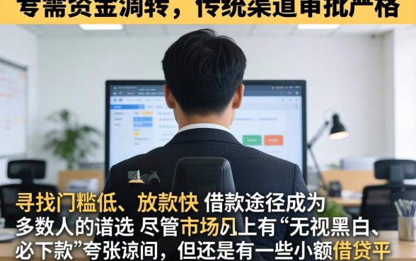 小额借款30多个口子，汇总5个无视黑白无视征信申请就下款的口子