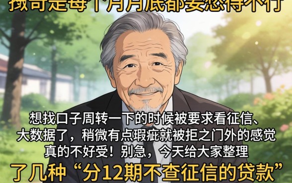 分12期不查征信的贷款，概括5个无视黑白户网贷app