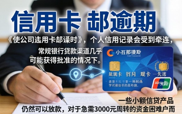 法人信用卡逾期公司被起诉，概览五个花户3000秒下款app