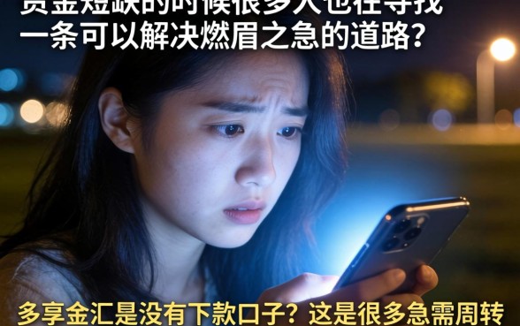 多享金汇是可以下款的口子吗，揭秘五个快速下款无视征信的口子