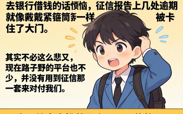 黑户可贷平台有哪些，热忱推荐五个比较好的小额贷款口子