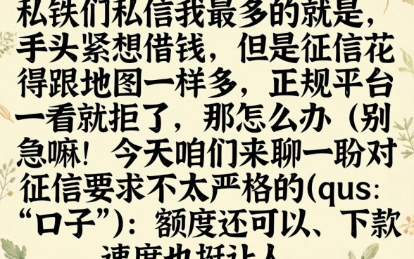 单独借钱的口子有哪些，条列五个网黑烂户无视风控口子