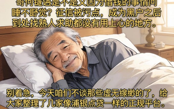 像浦银点贷一样的正规平台，归集5个无视黑白户秒下款app