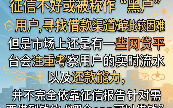 哪个app黑户可以借钱的，概括5个不看负债的网贷平台