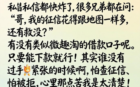 类似微趣淘的借款口子，细致阐述五个征信瑕疵也能借网贷轻松下款的软件