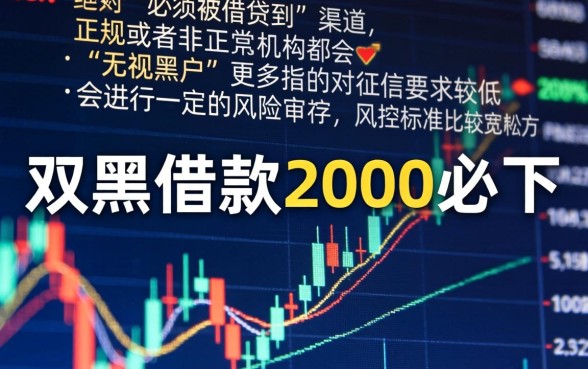 双黑借款2000必下，罗列5个无视黑户秒下的口子