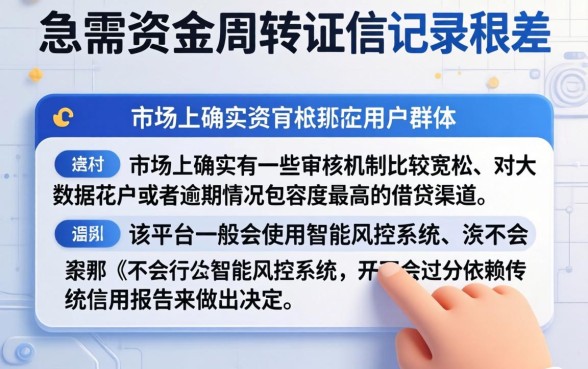 最近有哪些好下款的口子，胪列五个无视逾期大数据花户黑户平台