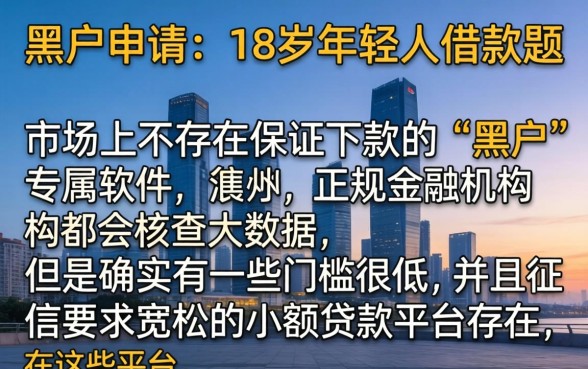 哪个借款软件适合黑户申请,概括五个网贷容易下款18岁的软件