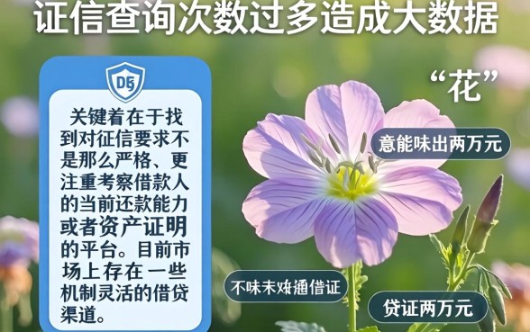 征信黑花了怎么贷两万出来，概览五个摆脱欠款束缚贷款新平台