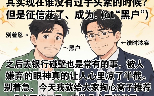 黑户最好下的网贷口子双黑，概括5个网黑逾期下款平台