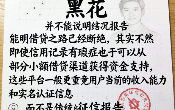 征信黑花了就不还了吗，罗列五个不看征信小额借钱的平台