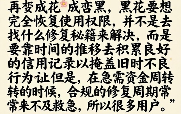 征信黑花了如何恢复使用，遴选五个无视黑户花户必下款口子