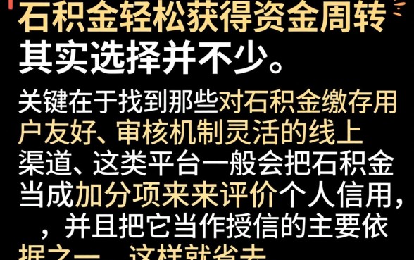 有什么口子能轻松下款，理出五个公积金借钱app