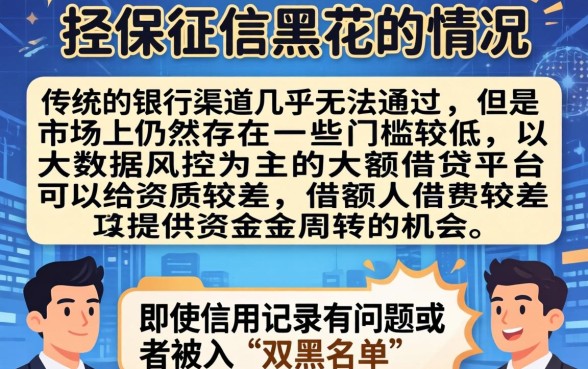 担保征信黑花了会怎么样吗，概括5个双黑烂户风控能下款5000口子