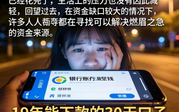 19年能下款的30天口子,深入剖析五个极速审核的网贷口子