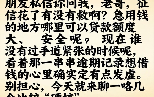 哪个平台借款额度高安全，详尽说明五个无视黑户下款口子