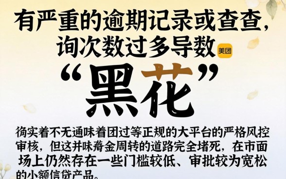 征信黑花了能跑美团吗，深入剖析5个失信人员可以借钱的网贷软件
