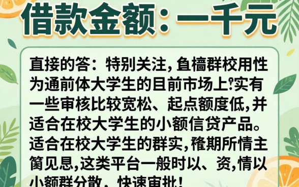 我只要1千元借款口子，汇整五个大学生可以使用的平台