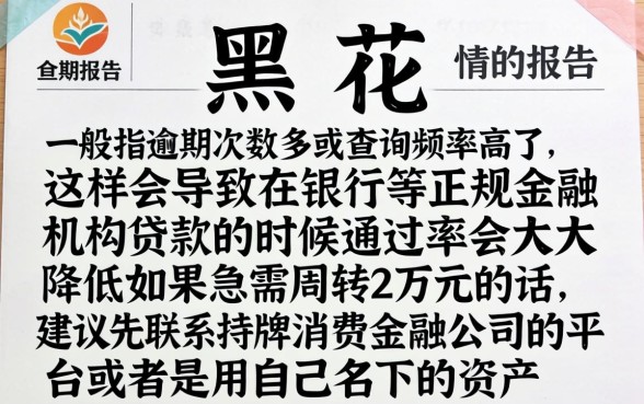 征信黑花了怎么借2万元呢，详尽说明5个黑户无条件下款的平台