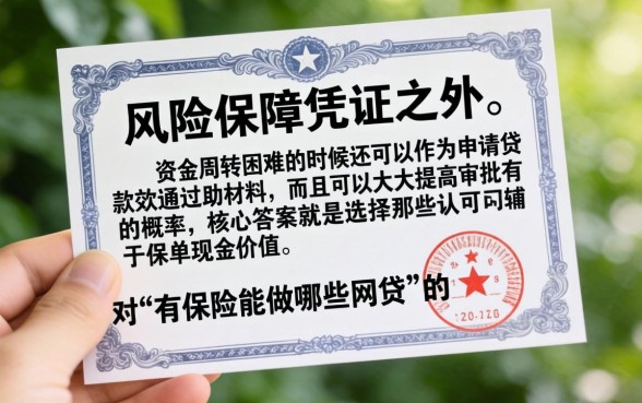 有保险可以做什么网贷呢，甄选五个无视黑白的网贷口子