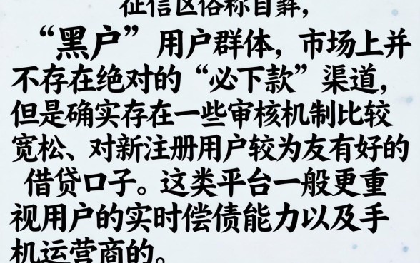 有什么黑户必下款的口子，概括5个新号易贷速审秒下款app