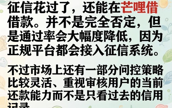 征信花了芒哩借款能借吗，倾情分享五个网贷口子风控不严的app