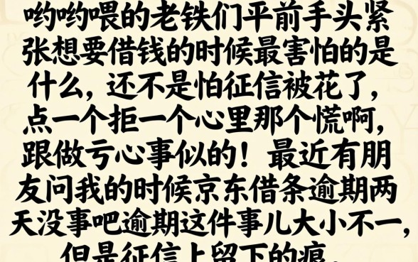 京东借条逾期两天没事吧，揭秘5个新手机号容易下款的平台