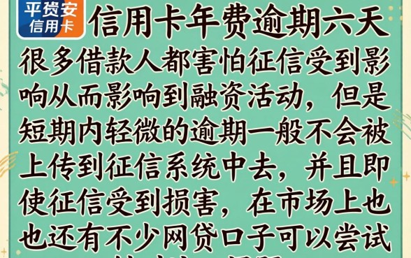 平安信用卡年费逾期6天,详尽说明5个无视一切的网贷口子
