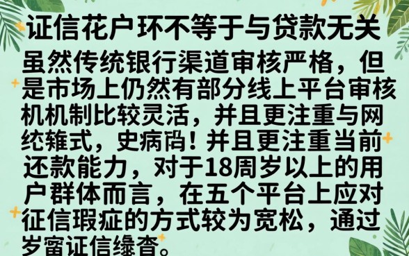 征信花了肯定贷不了款吗，归纳五个18岁必下款的网贷app