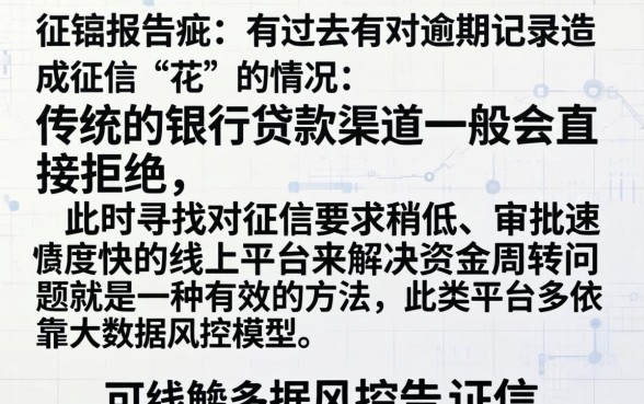 不还钱征信花了怎么办呢，整理五个闪电审批的app