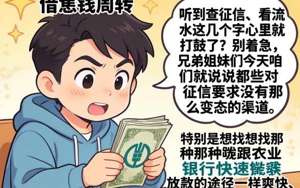 农业银行快速下款的口子,遴选5个不查流水的小额度贷款app