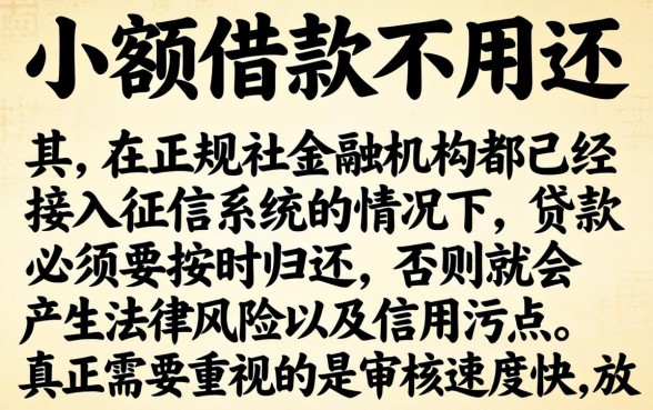 小额借款不用还的口子，鼎力推荐五个极速审核的网贷口子