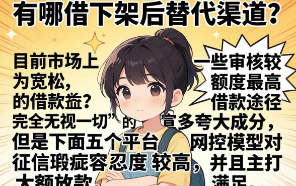 去哪借下架的口子在哪里找,梳理五个大额无视一切还款的平台