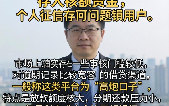 最新借款大额分期口子，细致阐述五个高炮无视逾期能下的口子