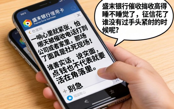 盛京银行信用卡催收短信，条列五个网贷黑户必过软件