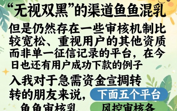 今日下款口子还是很多的，诚意推荐5个无视双黑能下款的口子