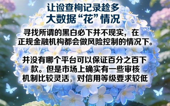 哪些口子黑白必下，详细阐述5个征信花了可以借钱的网贷软件
