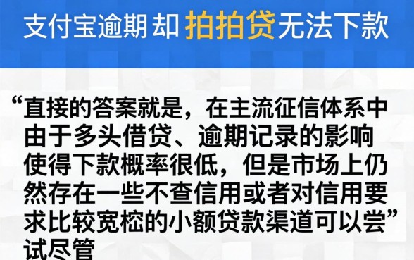 支付宝逾期拍拍贷还可以下款吗，揭秘5个黑户0门槛贷款app