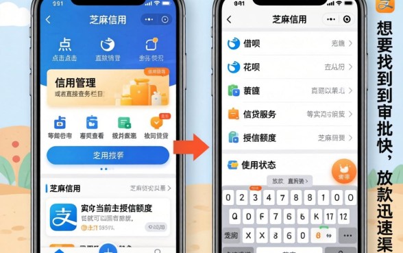 怎么通过芝麻信用查贷款情况，揭秘5个借款申请快的平台