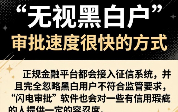 2026无视黑白的口子，精选五个闪电审批的软件