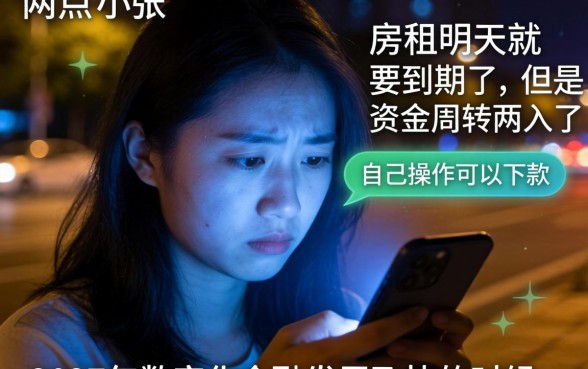 自己操作可以下款的口子，揭秘5个无视黑白100%秒下网贷小额夜间口子