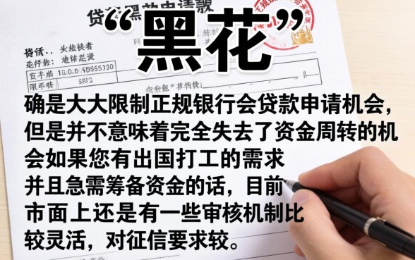 征信黑花了怎么出国打工呢，罗列5个无视黑白的网贷软件