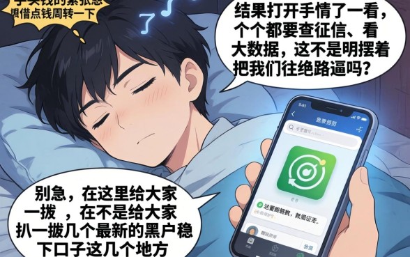 最新黑户稳下口子,概览5个征信不好负债高的口子