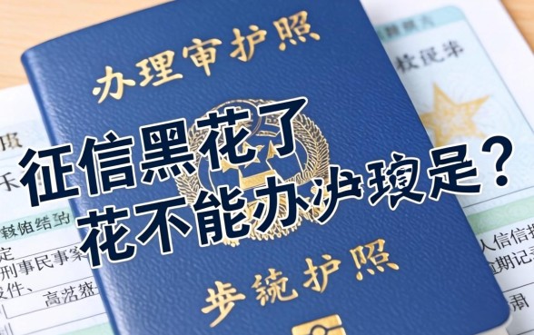 征信黑花了能办护照吗，诚意推荐5个高炮无视风控逾期也下款的口子