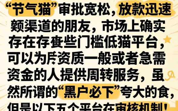 类似节气猫秒下的口子，梳理5个黑户成功获取大额贷款的平台